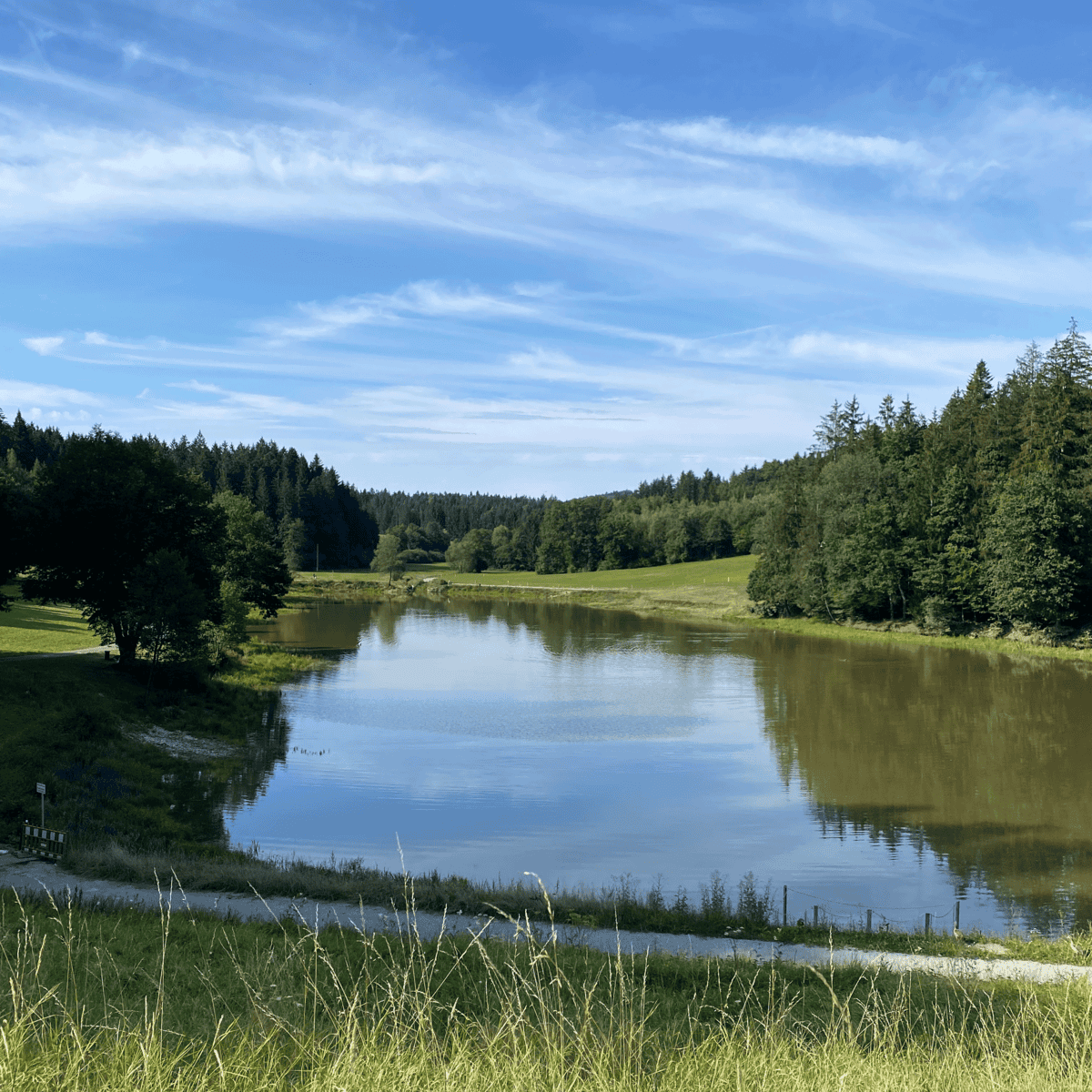 ELEMENT WASSER ELEMENT WASSER
